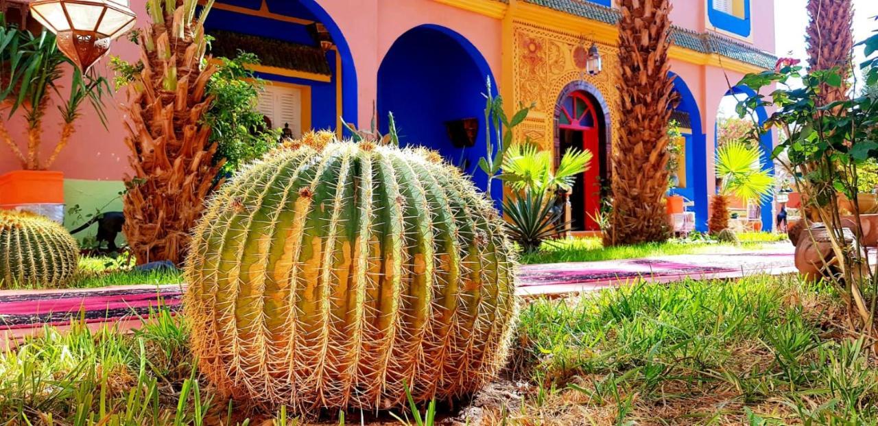 Riad Jasmine Sud Zagora Buitenkant foto
