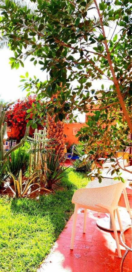 Riad Jasmine Sud Zagora Buitenkant foto